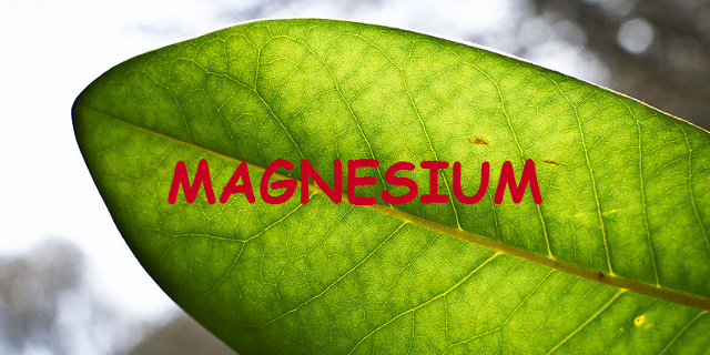 マグネシウムとは